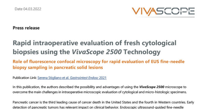 Vivascope 2500 Medicinelaser